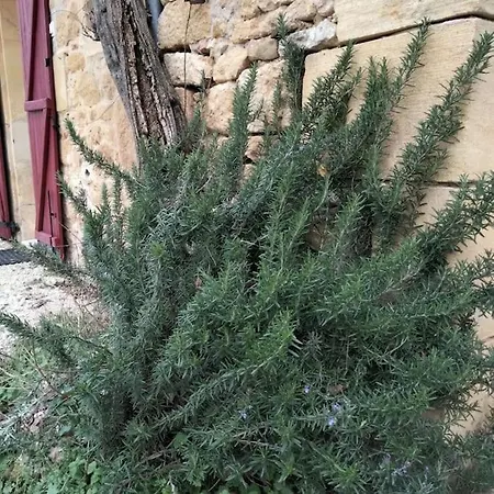 Gite Mon Lit Au Pre Perigord 펜션 Cales (Aquitaine)